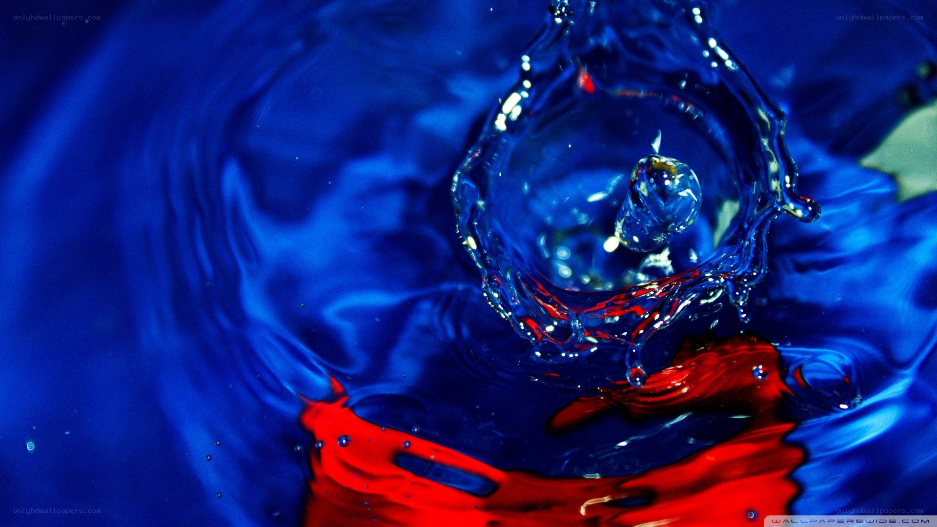 blue water splash with red accent