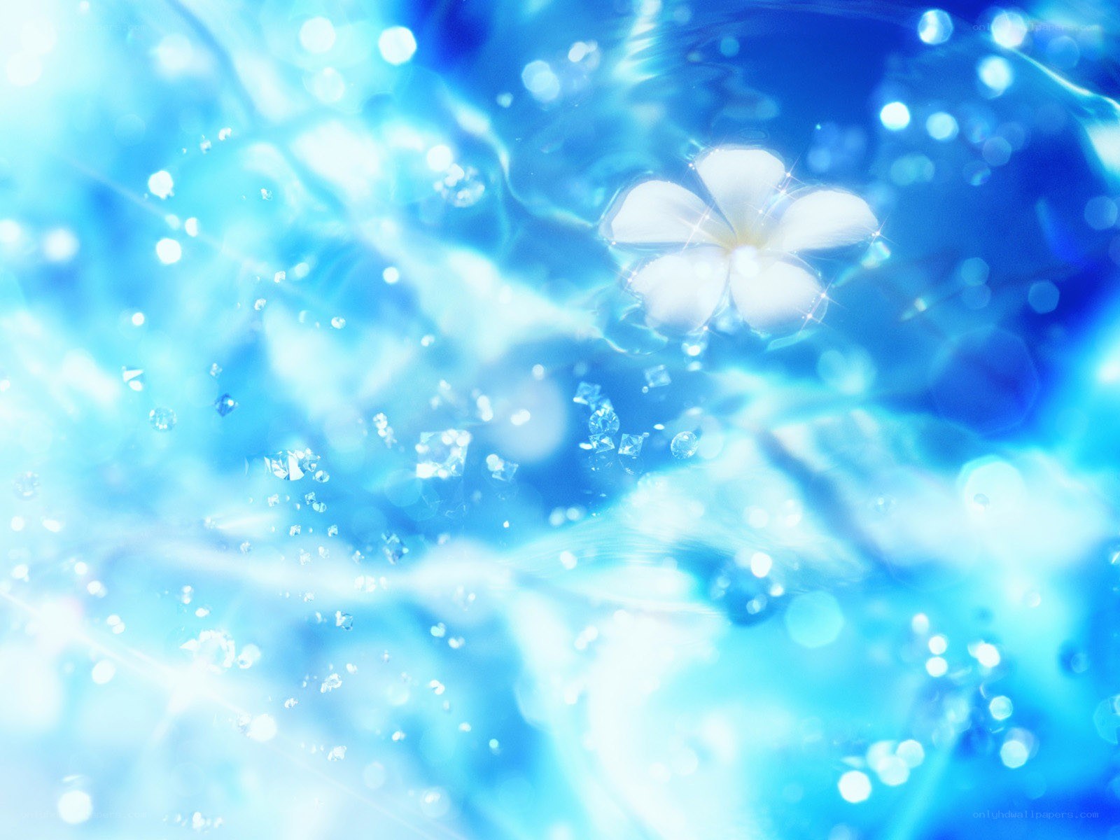 blue water with white flower