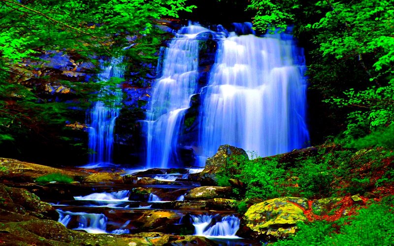 Blue Waterfall in Forest — Green, Serene, Afternoon