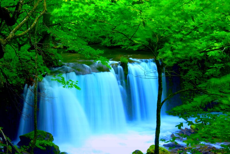 Blue Waterfall in Forest — Green, Serene, Summer