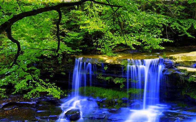 Blue Waterfall in Forest — Green, Serene