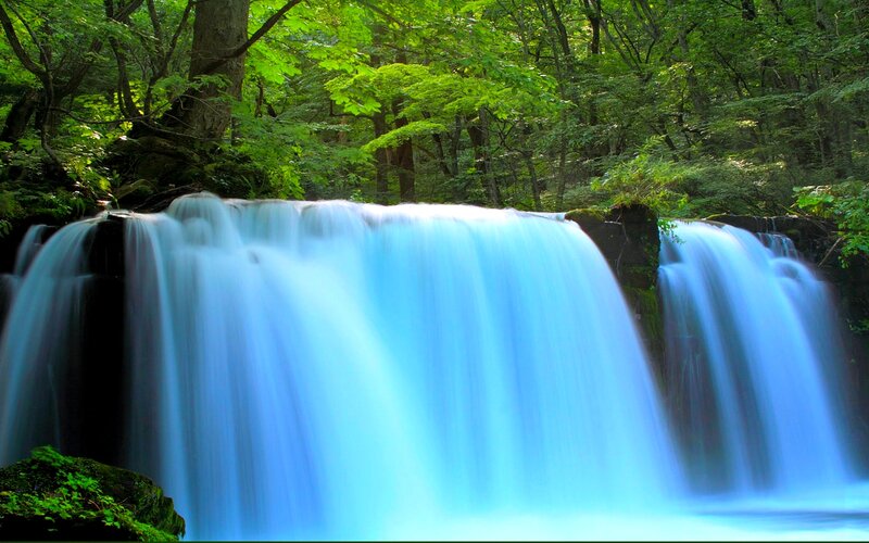 Blue Waterfall in Forest — Green