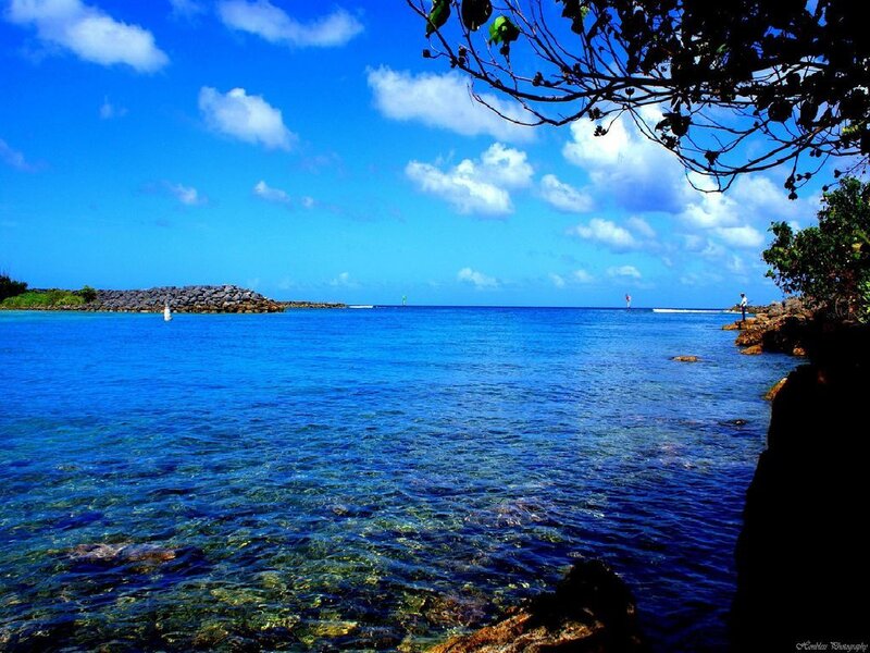 Blue waters at a tropical bay