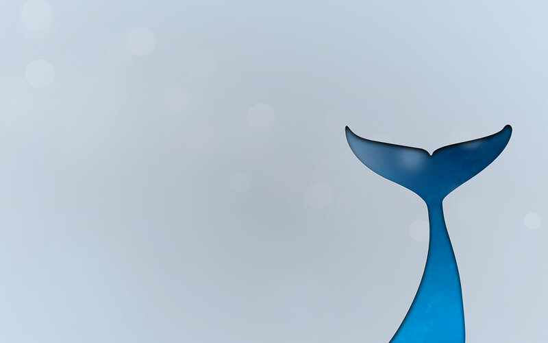 blue whale tail silhouette