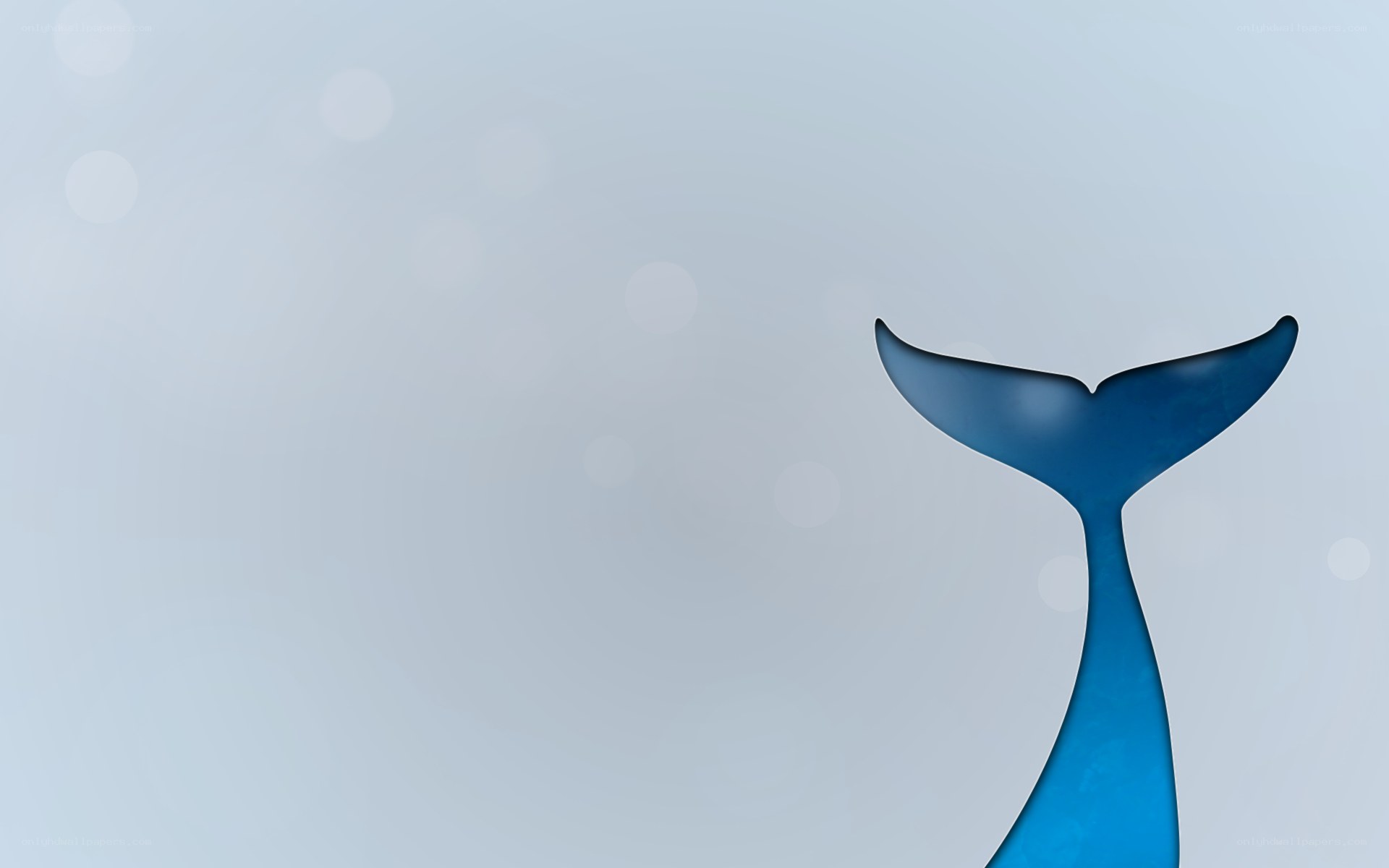 blue whale tail silhouette