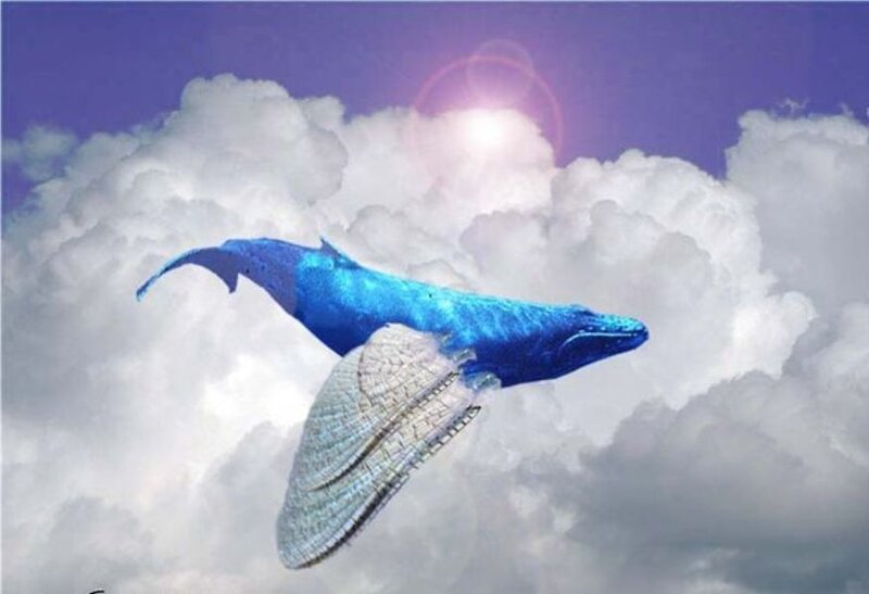 Blue Whale with Wings