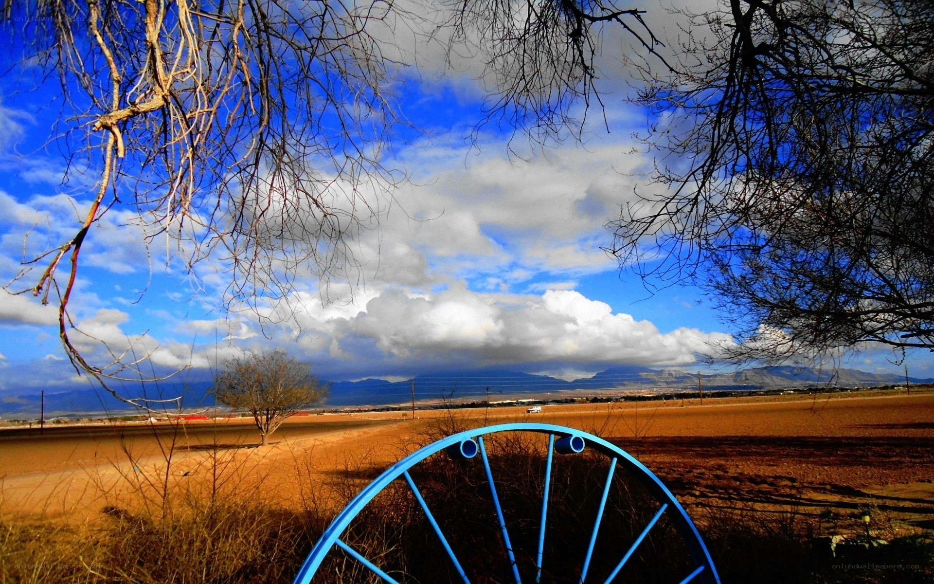 Blue wheel in a desert landscape