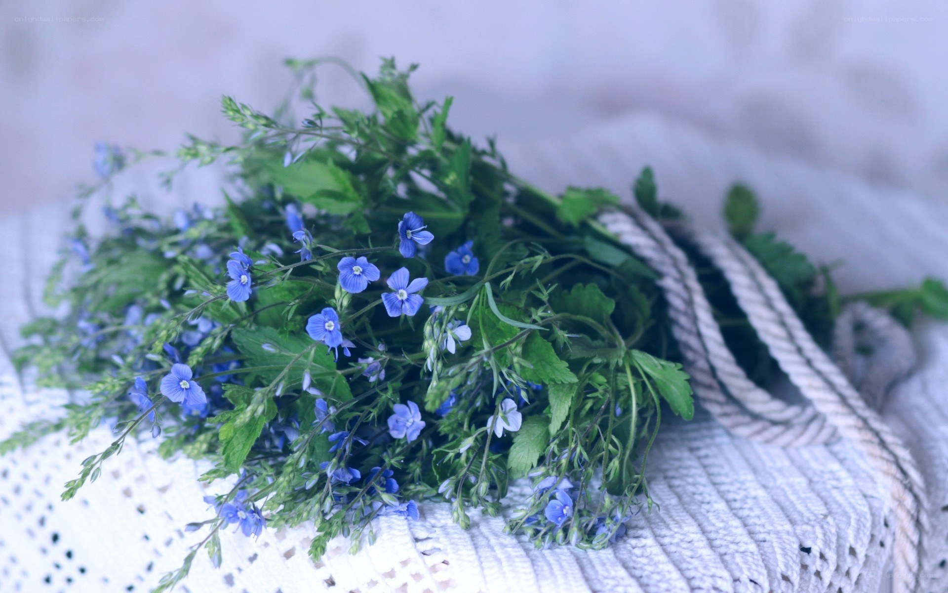 Blue wildflowers in a basket
