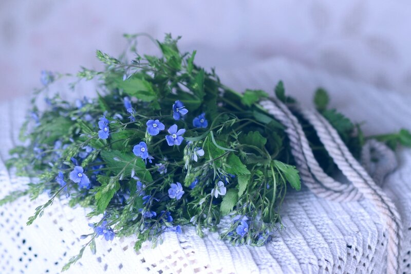 Blue Wildflowers in Basket