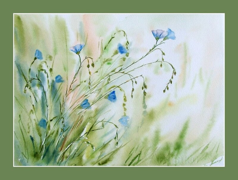 Blue Wildflowers in Grass — Serene, Spring