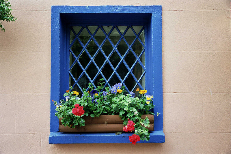 Blue Window with Flowers