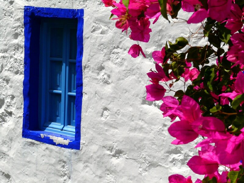 Blue window with pink flowers
