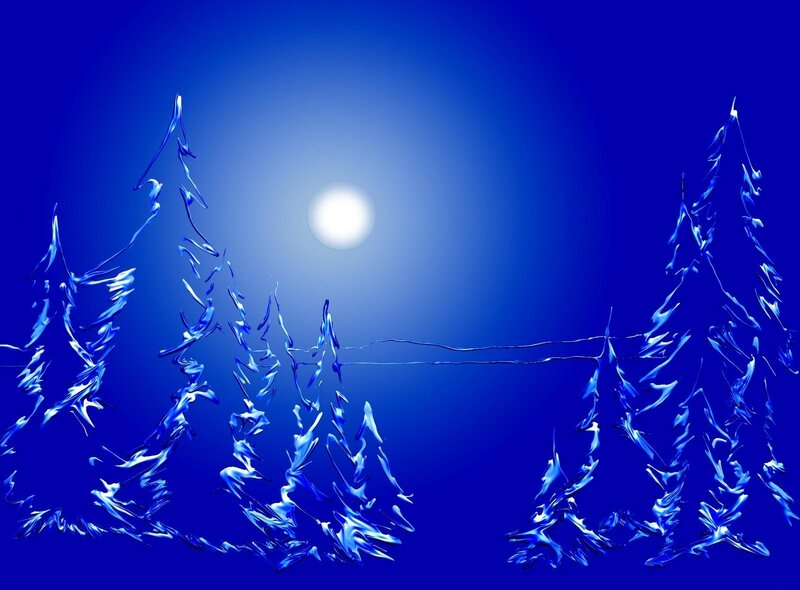 Blue winter forest scene