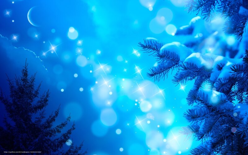Blue winter night with snow