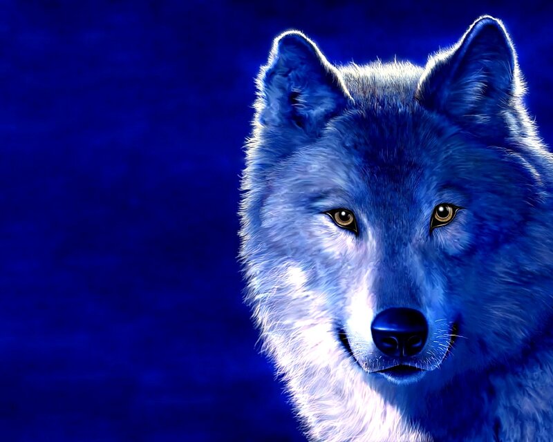 Blue Wolf Head — Dramatic, Digital Art