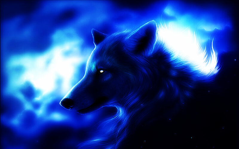 Blue Wolf Head — Dramatic, Night, Digital Art