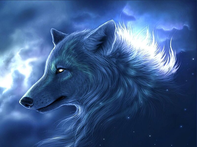 Blue Wolf Head — Dramatic