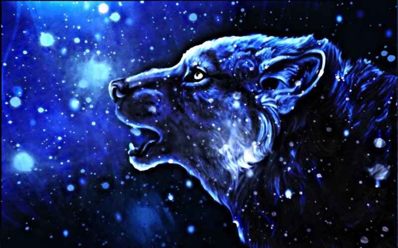 blue wolf howling at night
