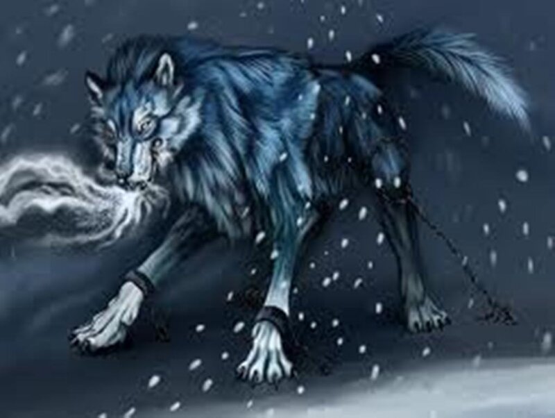 Blue Wolf in Snow