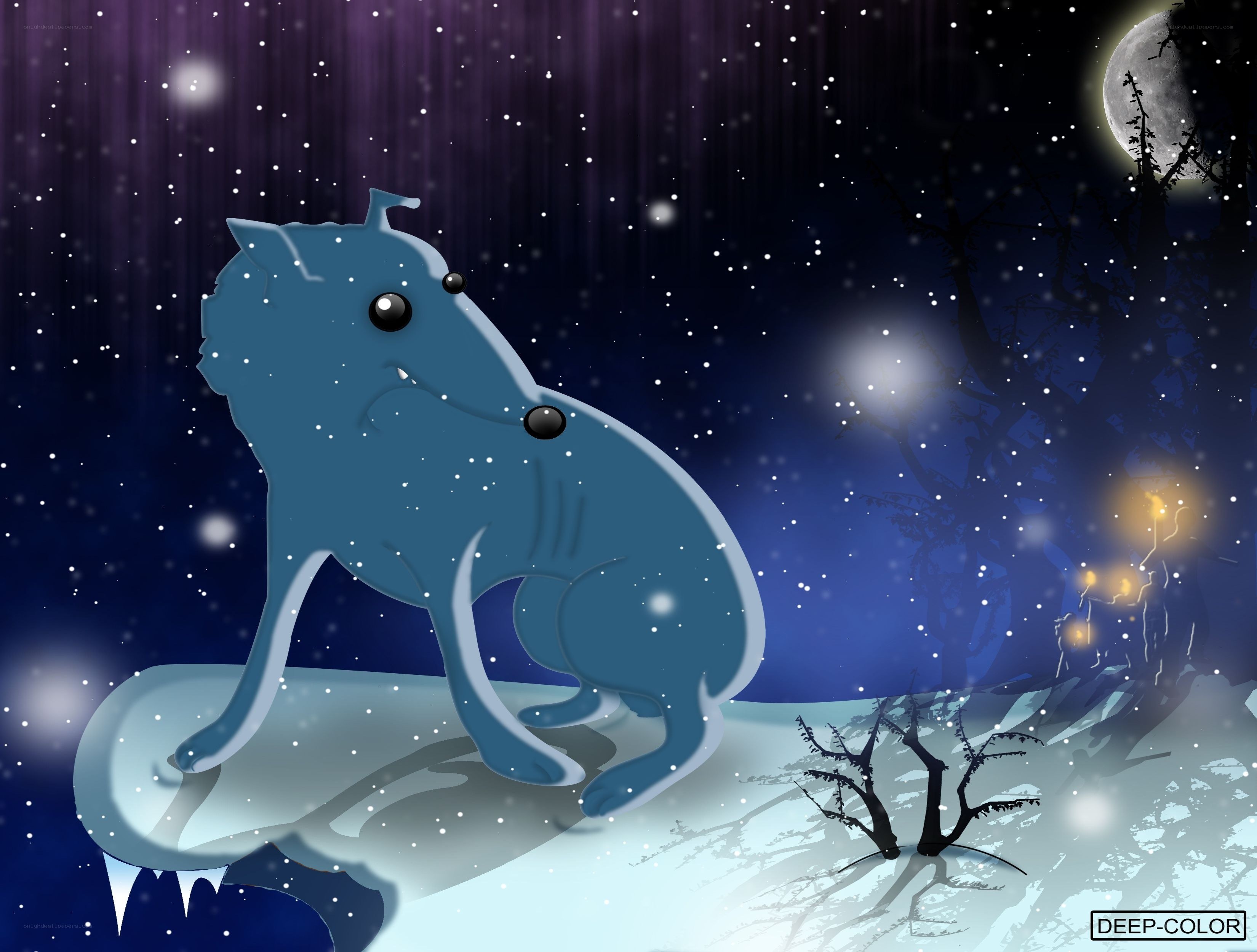 Blue wolf in snowy night