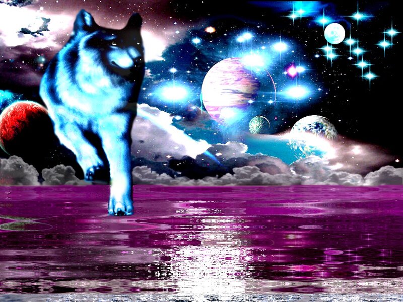 Blue Wolf in Space