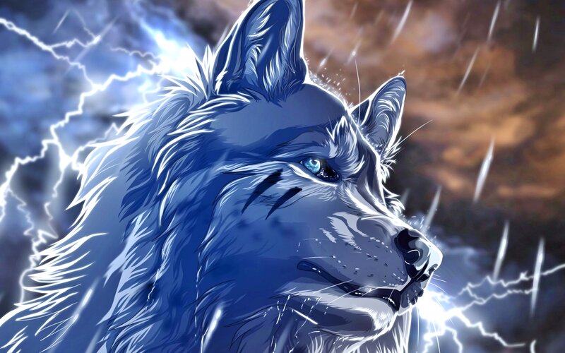 Blue Wolf in Storm — Dramatic, Digital Art