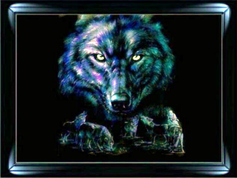 Blue Wolf Portrait — Black