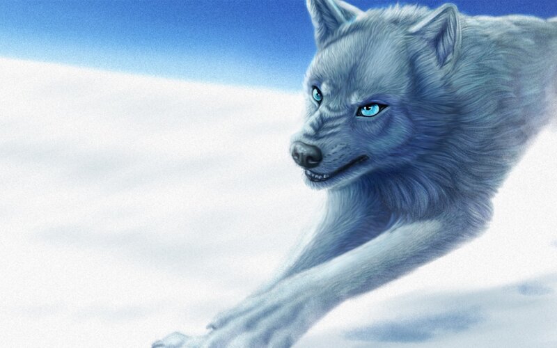 Blue Wolf Running