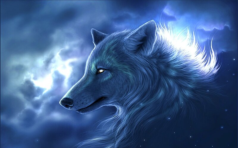 blue wolf under stormy sky