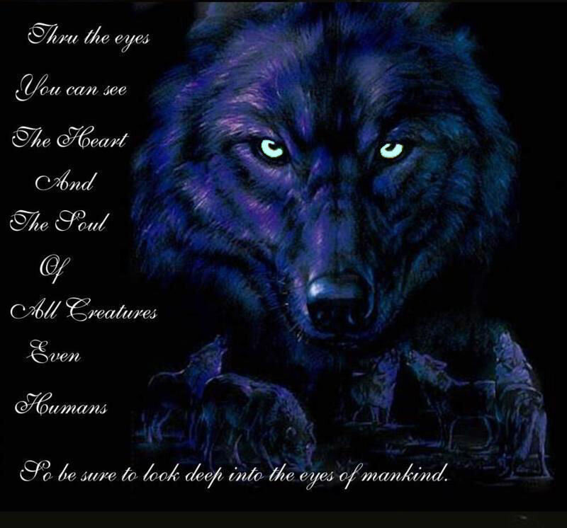 Blue Wolf with Glowing Eyes — Black