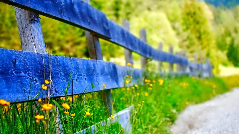 Blue Wooden Fence