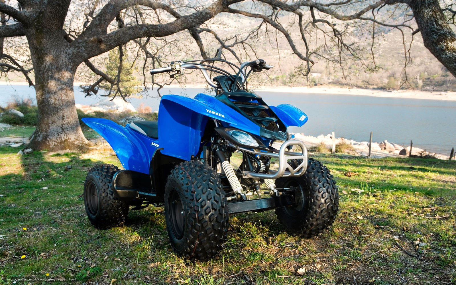 Blue Yamaha ATV by a lake