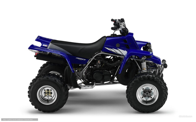 blue yamaha atv side profile