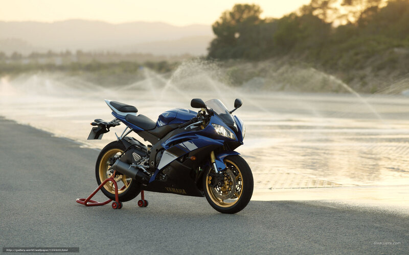 Blue Yamaha sportbike on stand