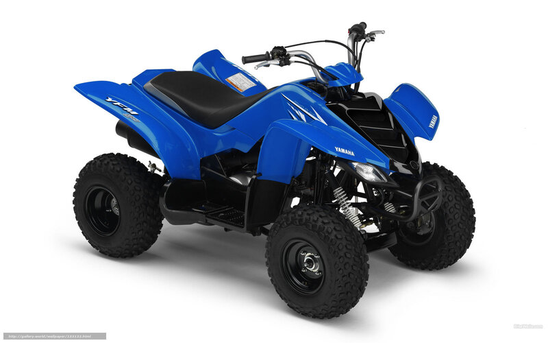 Blue Yamaha YFM 125 ATV