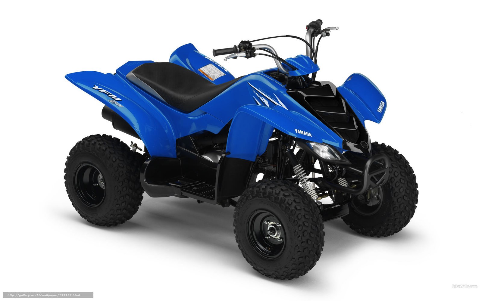 Blue Yamaha YFM 125 ATV