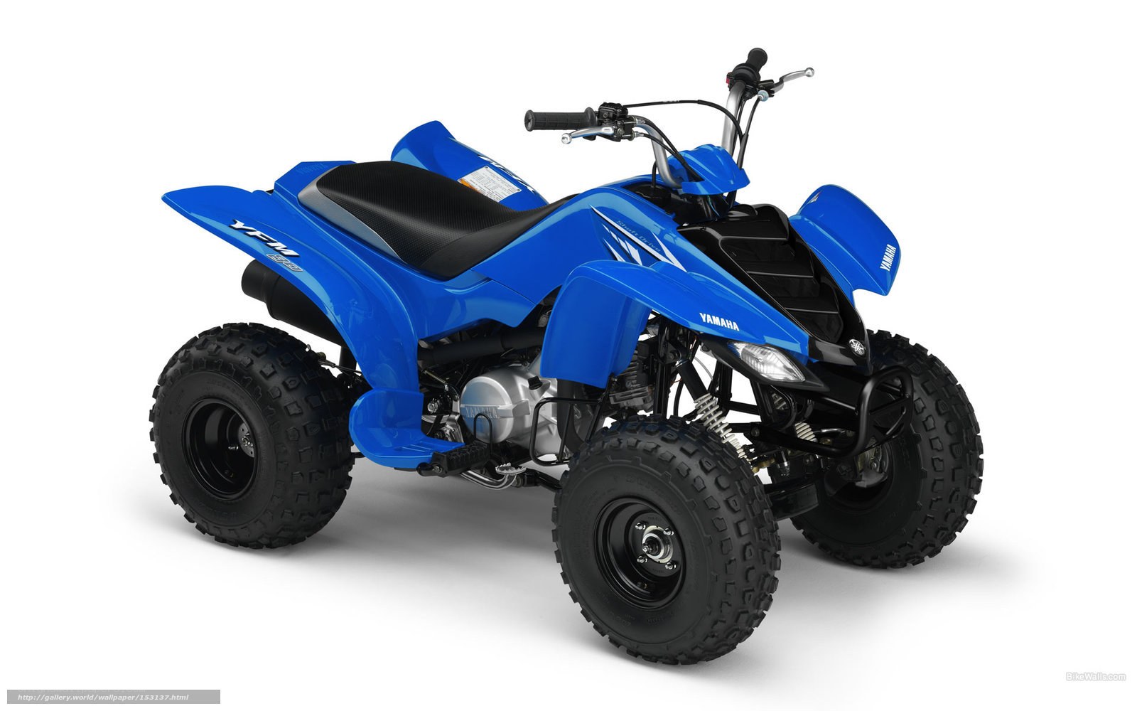 Blue Yamaha YFM 125M ATV