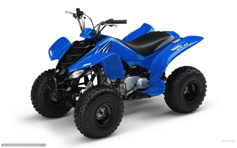 Blue Yamaha YFM 250 ATV