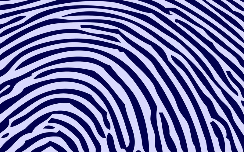 blue zebra stripe pattern