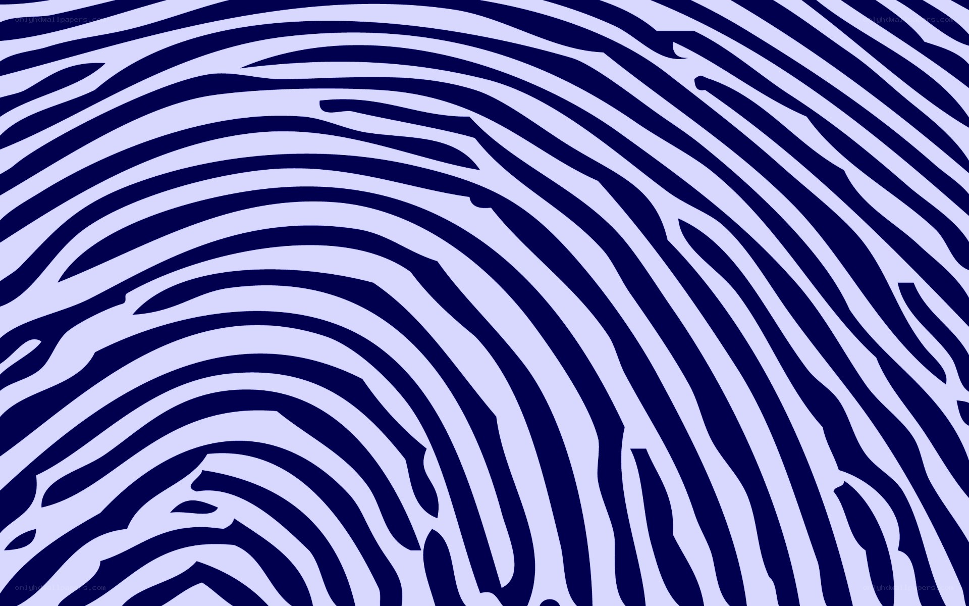 blue zebra stripe pattern