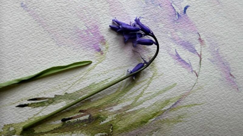 Bluebell Flower on Paper