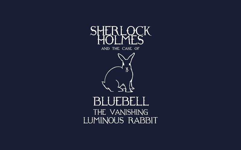 Bluebell the Rabbit