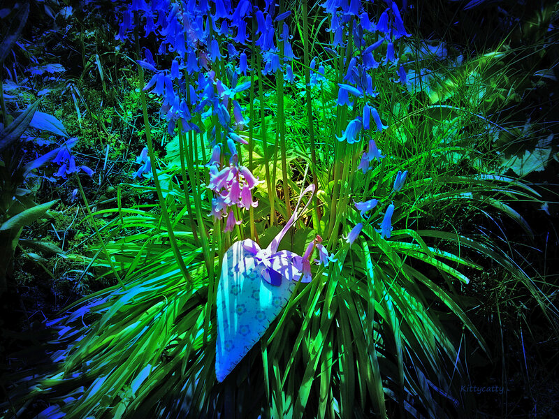 Bluebells with Heart Ornament