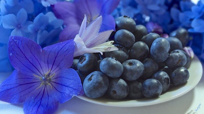 Blueberries and Flowers