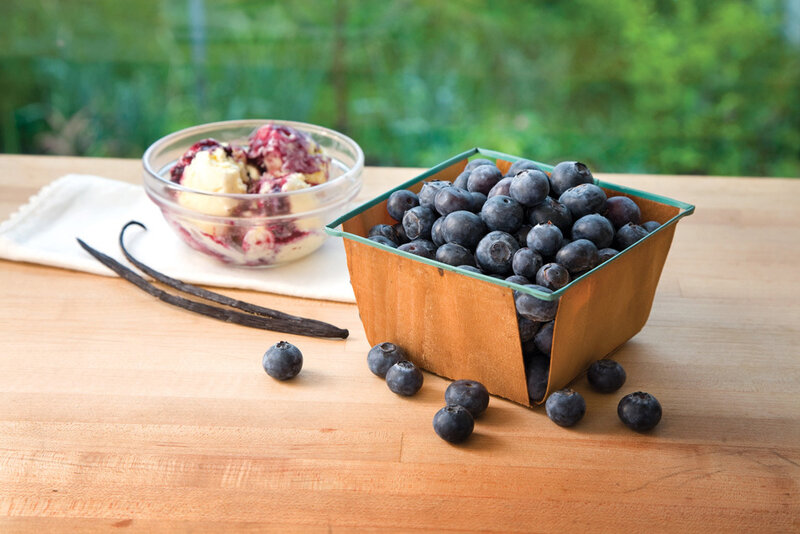 Blueberries and Ice Cream