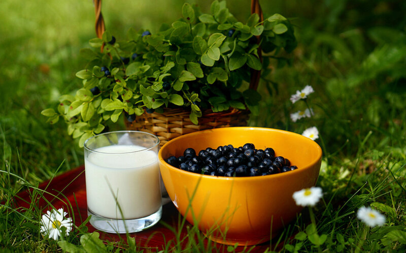 Blueberries and Milk