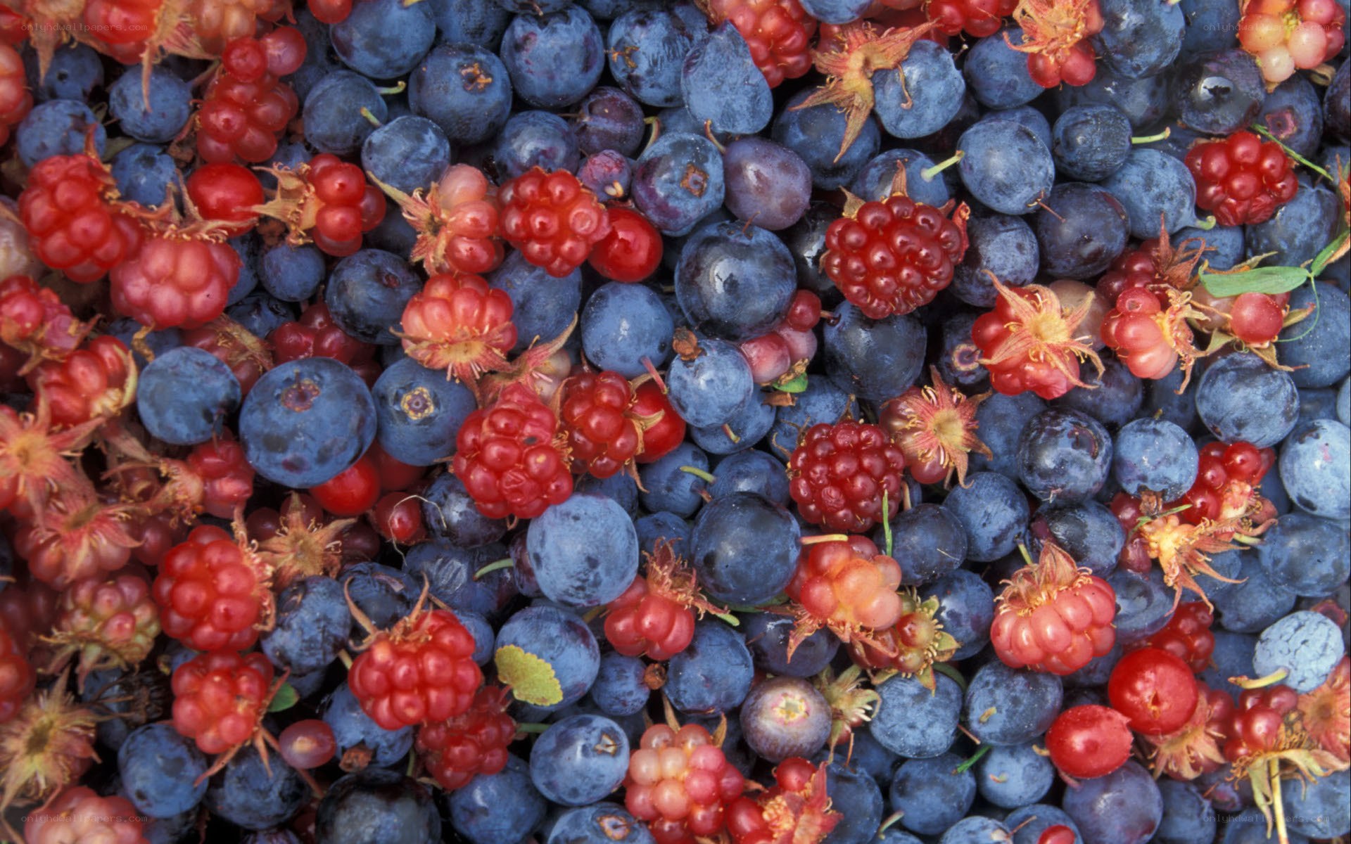 blueberries and raspberries