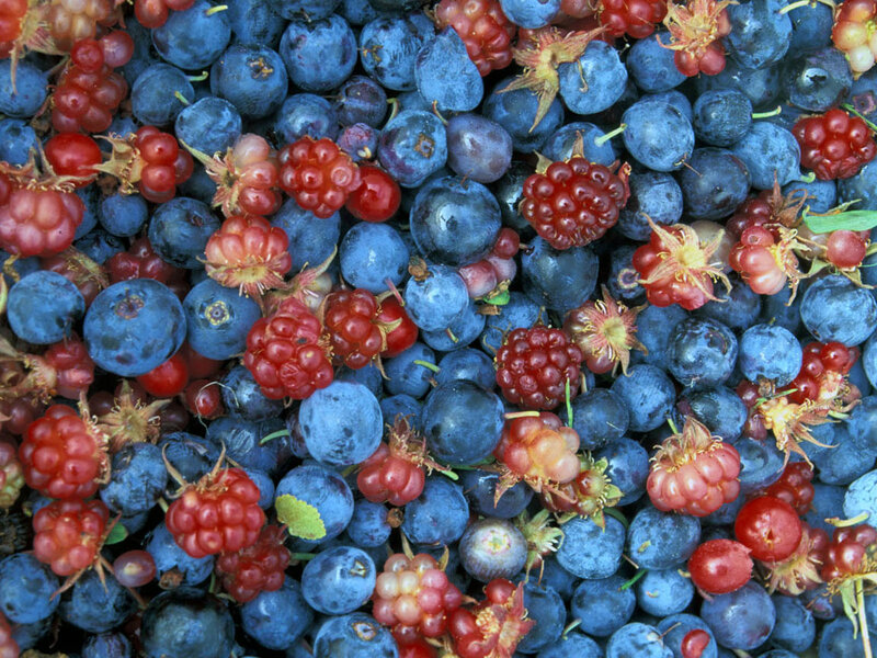 blueberries and raspberries
