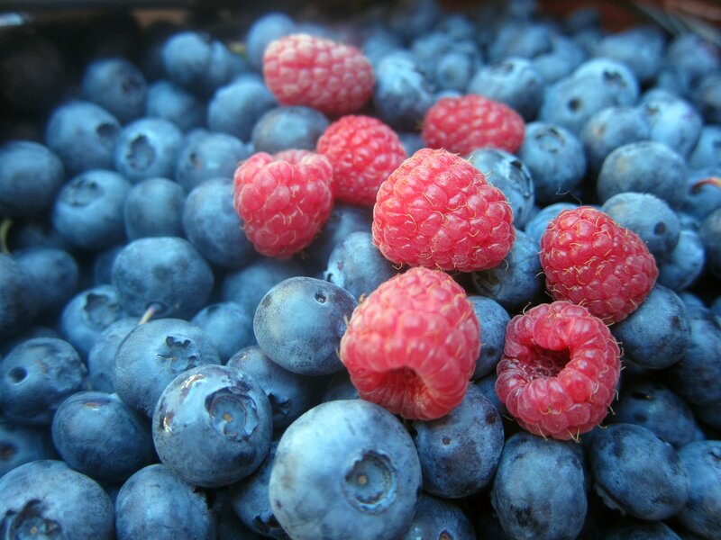 Blueberries and Raspberries — Blue, Natural