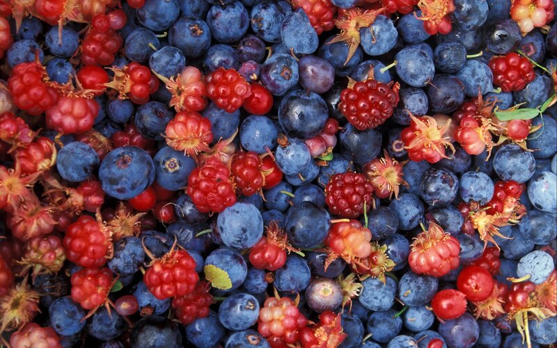 Blueberries and Raspberries — Blue